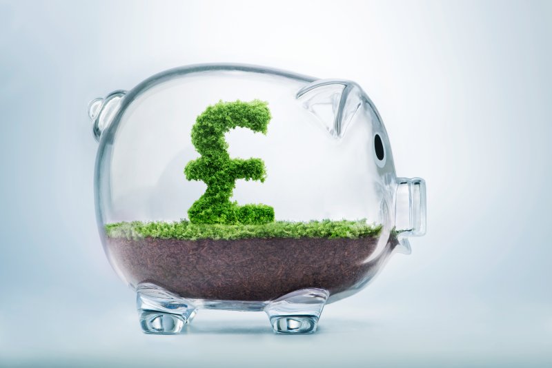 Pound sign inside a glass piggy bank terrarium